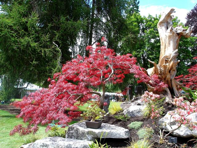 Point Defiance Park